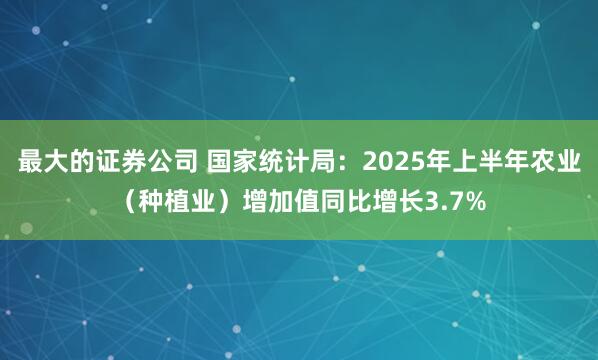 最大的证券公司 国家统计局：2025年上半年农业（种植业）增加值同比增长3.7%